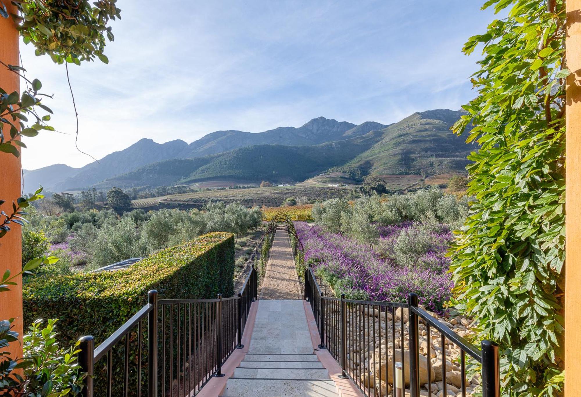 La Residence Franschhoek Extérieur photo